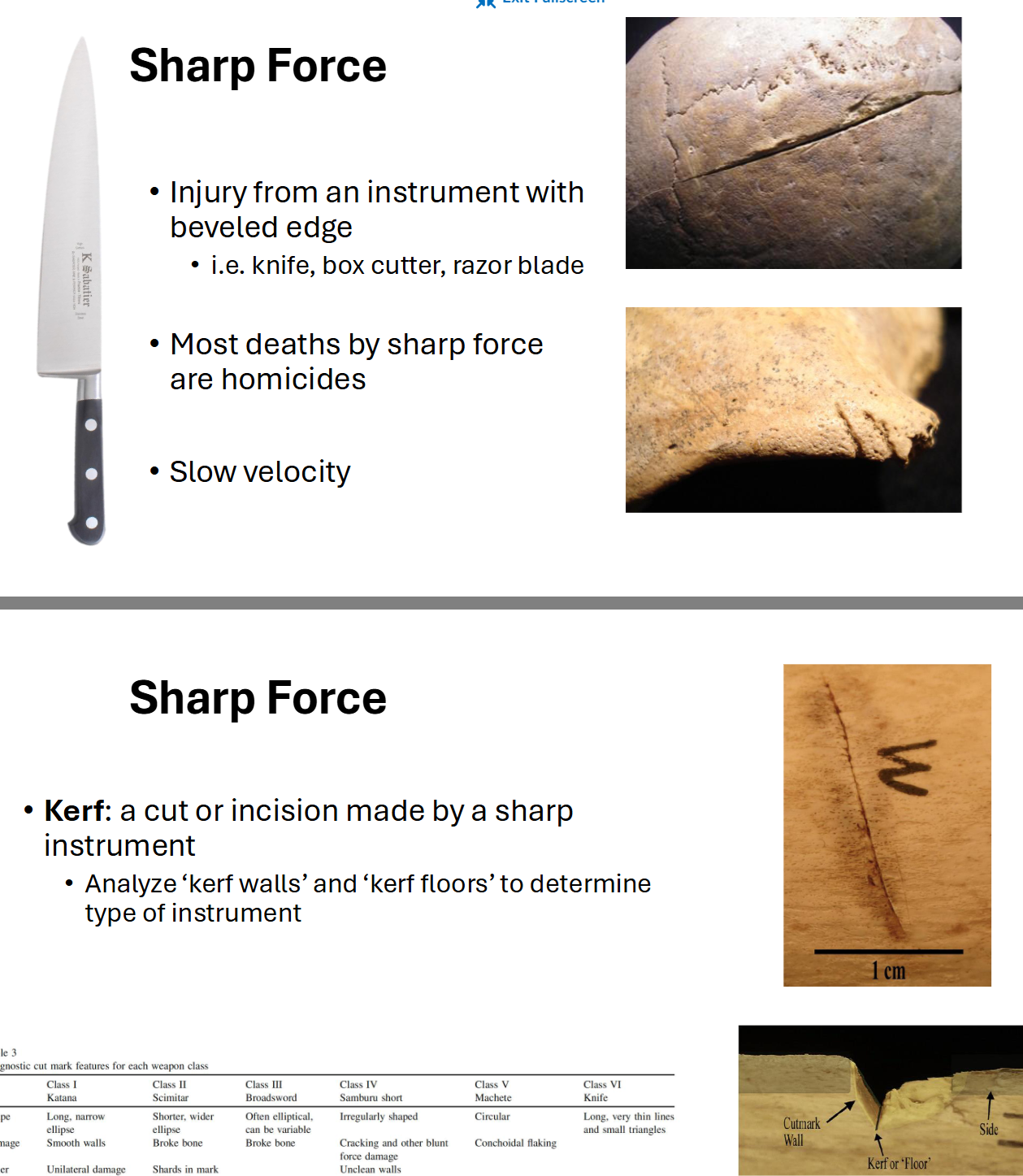 <p><span>Sharp Force</span></p>