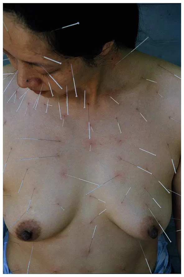 <p>He Chengyao, <em>99 Needles,</em> 2002</p>