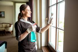 <p>The woman is polishing the window.</p>