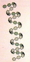 <p>Unbranched helix-shaped chain</p>