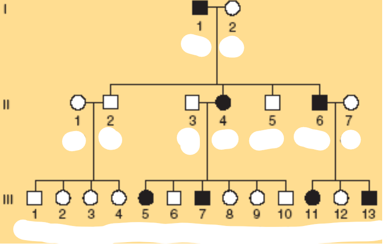 <p>Koks čia paveldėjimas?</p>