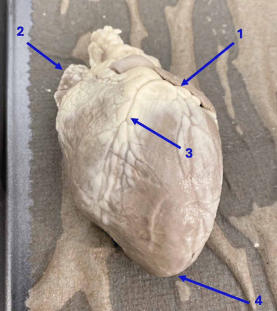 <p>2</p>