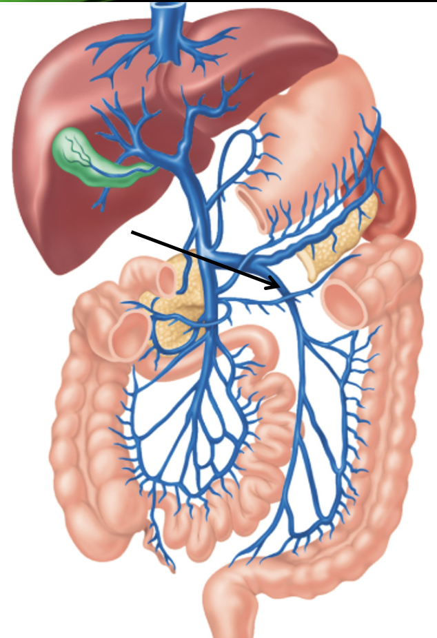 <p>What structure is this?</p>