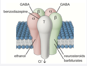 <ul><li><p>short-term use in crisis </p></li><li><p>used in insomnia, epilepsy and pre-surgey </p></li><li><p>enhances effect of GABA (inhibitory)</p></li><li><p>binds to GABA-A receptor between a and y subunits </p></li><li><p>causes conformational change to enhance GABA binding → GABA-A receptor positive allosteric modulator (PAM) </p></li><li><p>channel opens → Cl- influx → hyperpolarisation → reduced neural activity </p></li></ul><p></p>