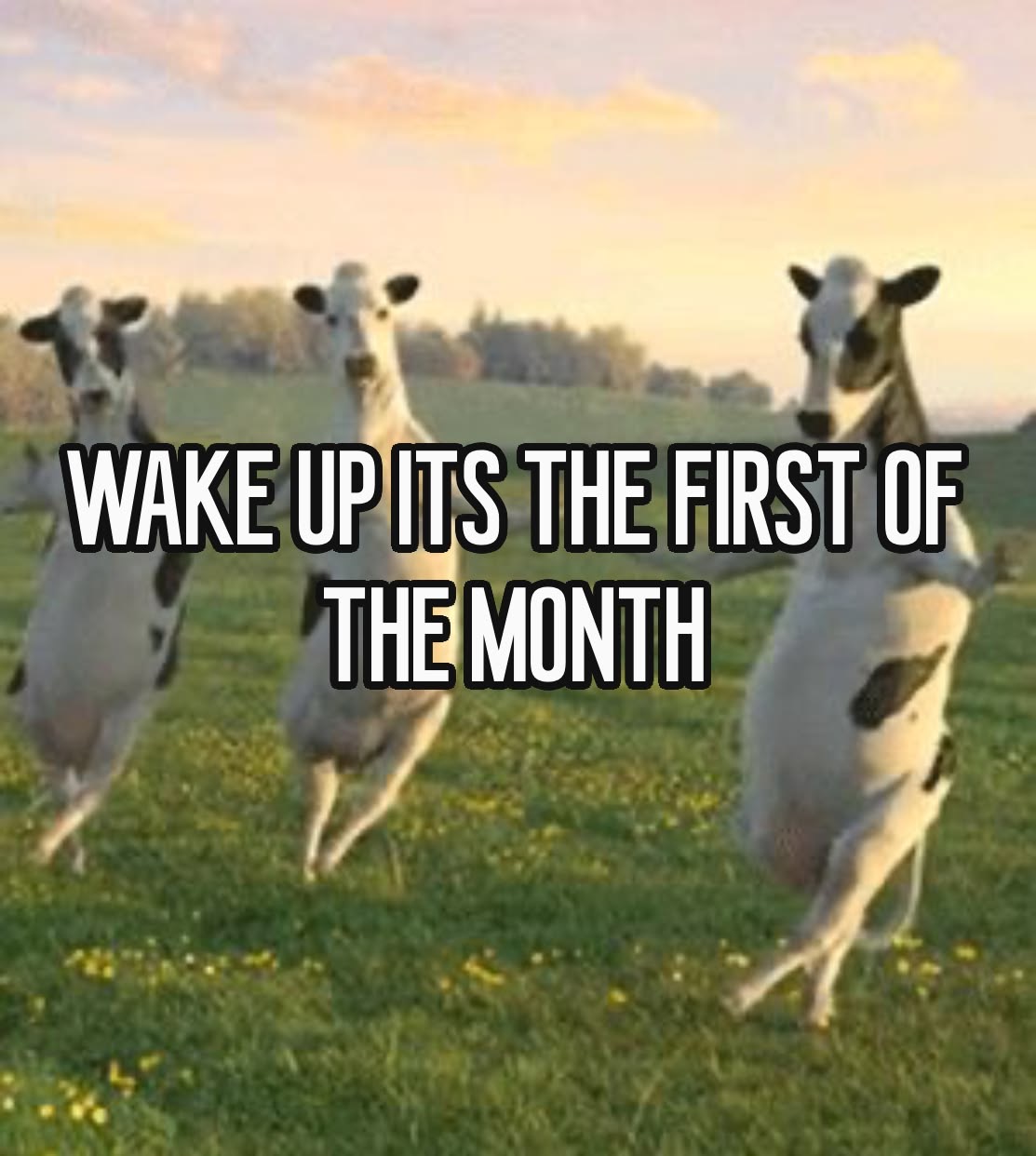 <p>month</p>
