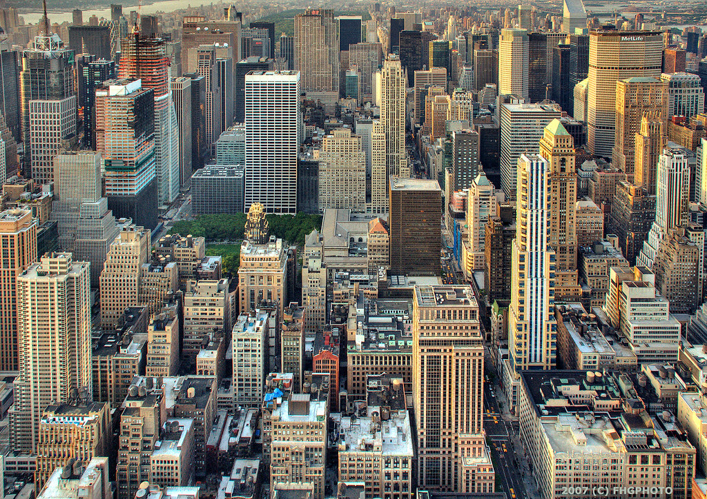 <p>Concrete jungle</p>