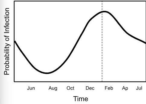 <p>Infection prevalence at Lower Blue Point Spring</p>
