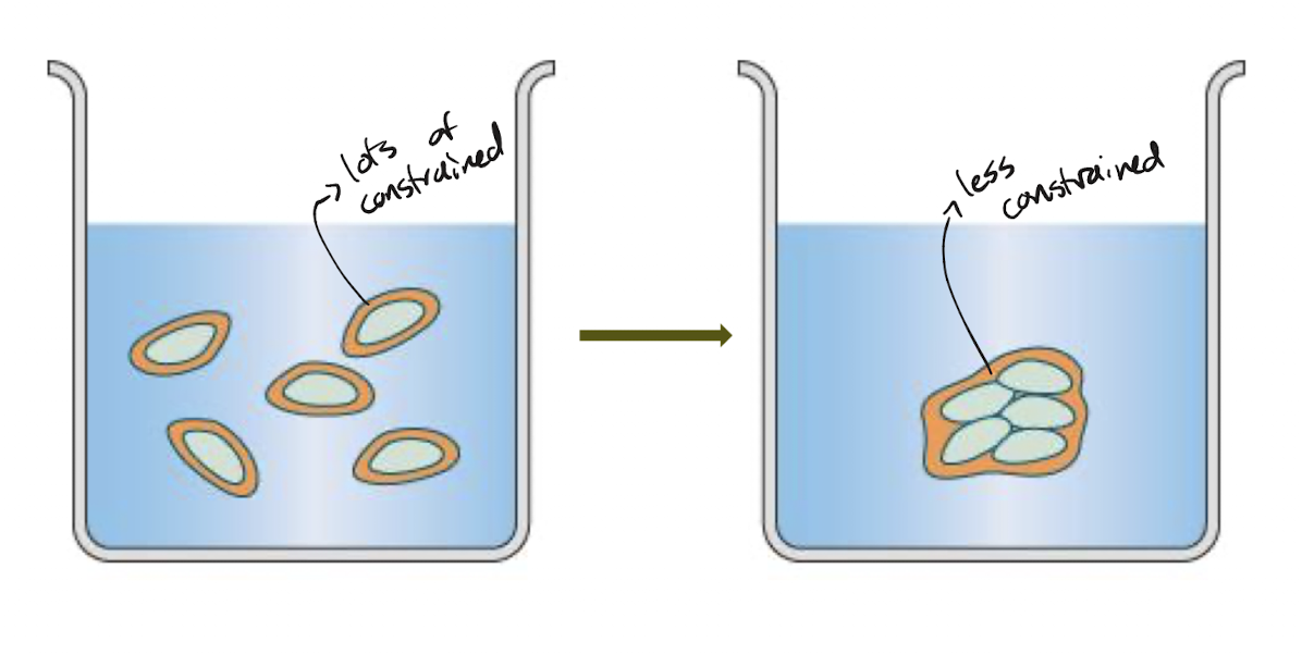 <p>Water forms a shell around nonpolar molecules, and the water molecules in this shell are constrained (difficult to create and break H-bonds with them). When nonpolar molecules are all separately placed in water, lots of shells are created and thus there is lots of constrained water molecules which is unfavourable for water. Pushing the hydrophobic molecules together allows less constrained molecules.</p><p>Nonpolar molecules increase entropy of water via the hydrophobic effect pushing them to a more favourable conformation → more energetically favourable. (Hydrophobic effect more entropically favourable)</p>