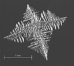 <p>Tree-shaped formations that occur during crystalisation</p>