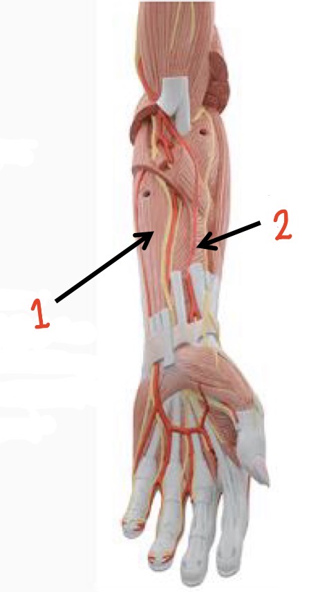 <p>2</p>