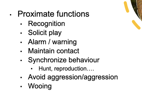 <p>recognition: species, population, caste, kin, individuals, or sexual partners</p>