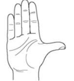 <p>thumbs up </p>