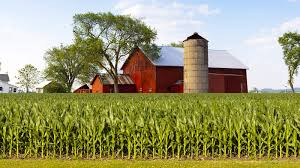 <ul><li><p>a resource which is actively overseen and protected to ensure sustainable use</p></li><li><p>it is harvested at a rate which enables them to renew</p></li></ul><p></p>