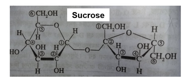 <p>Is this a reducing sugar? Why?</p>