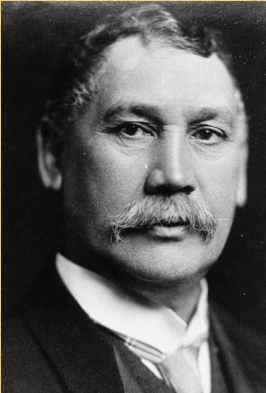 <p>He was the MP (member of parliament) for Eastern Māori, Waiapu, and Gisborne. He belonged to the Liberal Party, tried to slow the loss of Māori land but to no avail (served from 1887 to 1919)</p>
