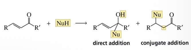 <p>A direct addition and or a conjugate addition product </p>