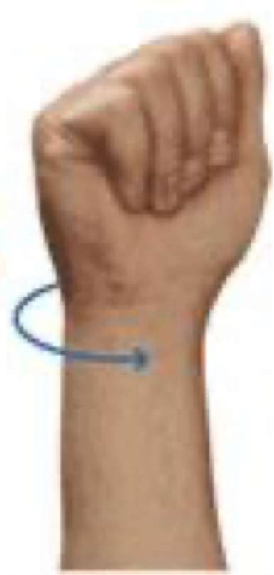 term image