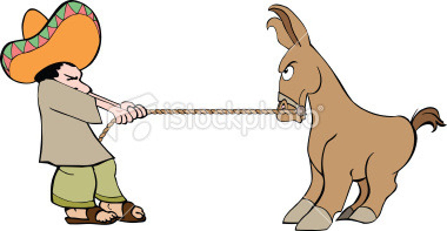 <p>holding firmly to an opinion or a course of action.</p>