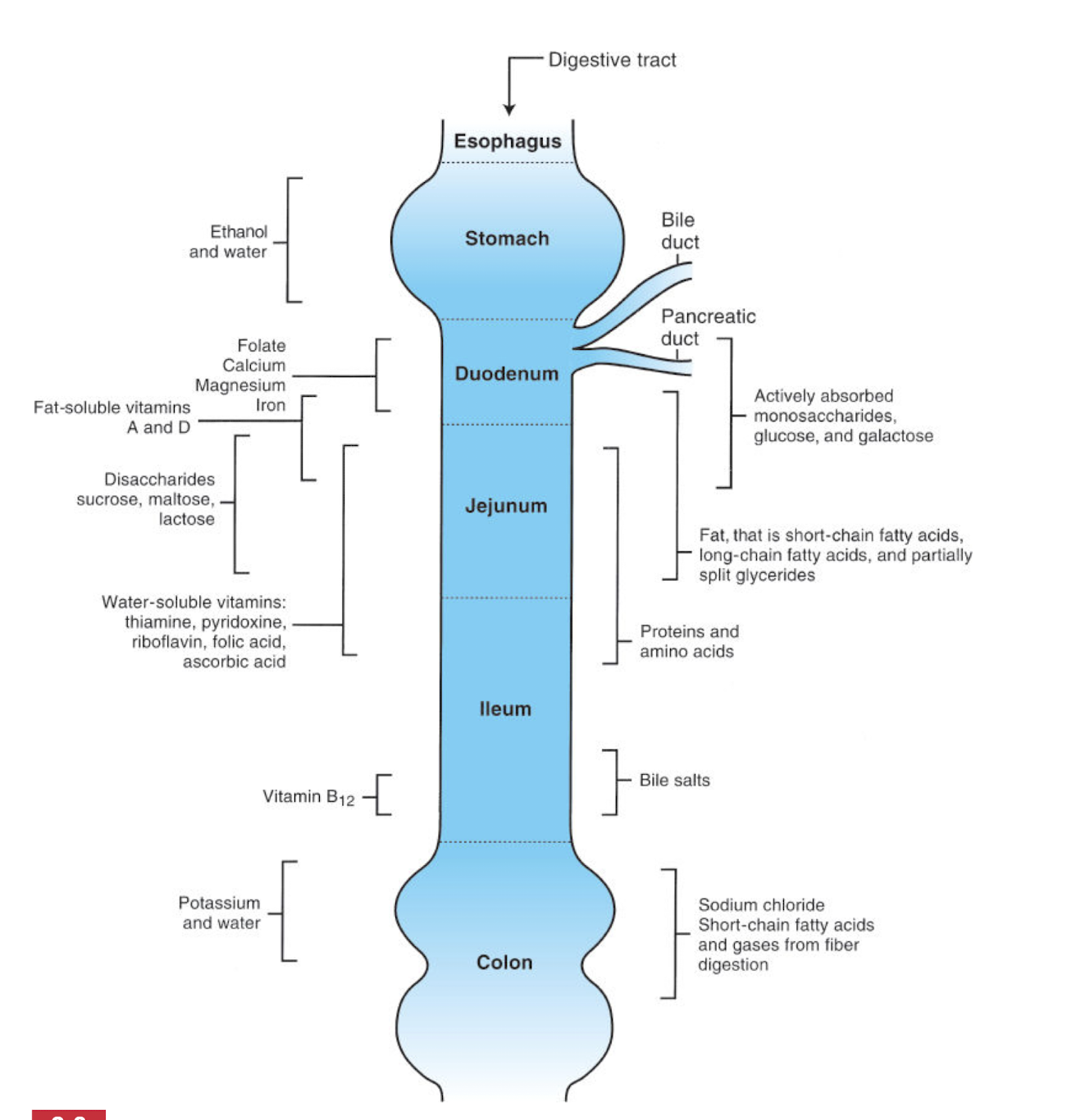 knowt flashcard image