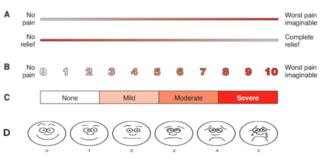 <p><strong><u>PAIN INTENSITY SCALES</u></strong></p><ol><li><p>A</p></li><li><p>B</p></li><li><p>C</p></li><li><p>D</p></li></ol><p></p>