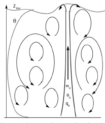<p>Organized strong updrafts with inertia, which allow transport across multiple layers and can transport variables against the gradient</p>