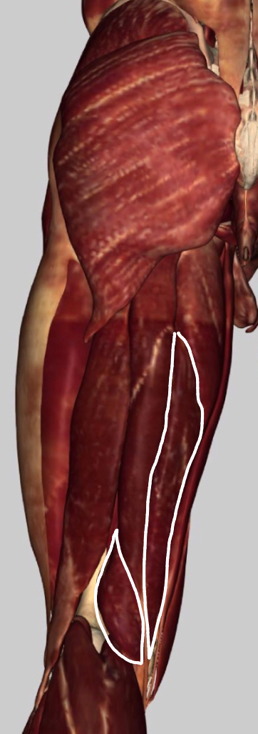 <p></p>