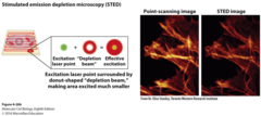 <p>Resolution: ~30-50</p><p>Pros: Super-resolution, precise localization</p><p>Cons: High phototoxicity, expensive</p>