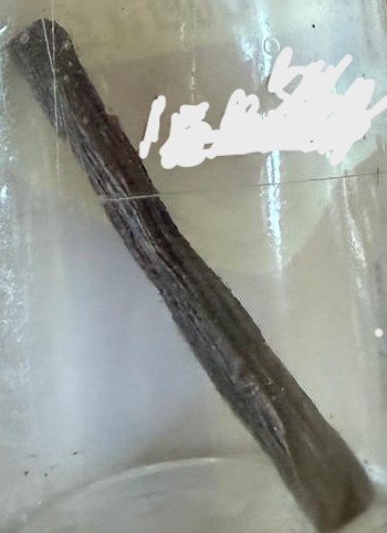 term image