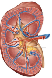 <p><span style="line-height: 17.375px;">Identify&nbsp;</span></p>