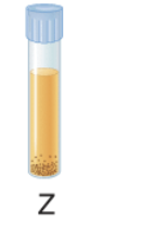 <p>In figure 1,which tube shows the expected growth pattern for an obligate anaerobe?</p>