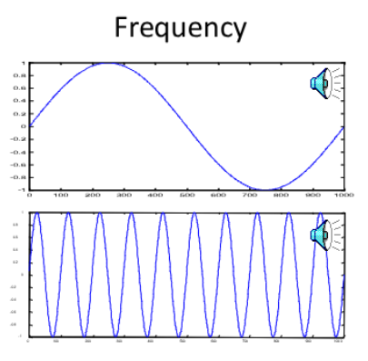 <p><span style="background-color: inherit; line-height: 21.85px; color: windowtext;">Number of air pressure oscillations per second (why sounds are heard differently)</span><span style="line-height: 21.85px; color: windowtext;">&nbsp;</span></p><ul><li><p class="Paragraph SCXO196424433 BCX0" style="text-align: left;"><span style="background-color: inherit; line-height: 21.85px; color: windowtext;">1 cycle /second = 1Hz</span><span style="line-height: 21.85px; color: windowtext;">&nbsp;</span></p></li><li><p class="Paragraph SCXO196424433 BCX0" style="text-align: left;"><span style="background-color: inherit; line-height: 21.85px; color: windowtext;">Compression + rarefaction (expansion)</span></p></li><li><p class="Paragraph SCXO196424433 BCX0" style="text-align: left;"><span style="background-color: inherit; line-height: 21.85px; color: windowtext;">Changes in frequency over time allow identification of the location of sounds + allows understanding of speech and appreciation of music</span></p></li><li><p class="Paragraph SCXO196424433 BCX0" style="text-align: left;"><span style="line-height: 21.85px; color: windowtext;">Fundamental frequency = pitch</span></p><ul><li><p class="Paragraph SCXO196424433 BCX0" style="text-align: left;"><span style="background-color: inherit; line-height: 21.85px; color: windowtext;">Changes in the physical frequency of a sound wave are perceived as changes in pitch</span></p></li></ul></li><li><p>Harmonic frequencies = timbre</p></li></ul><p></p>