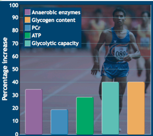<p>• The most dramatic increases in anaerobic enzyme function and fiber size occur in Type II (fast twitch) muscle fibers</p><p>• Glycogen storage can increase two fold</p><p>• Glycolytic capacity also increases which drives both the anaerobic aerobic pathways.</p>