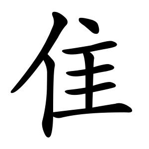 term image