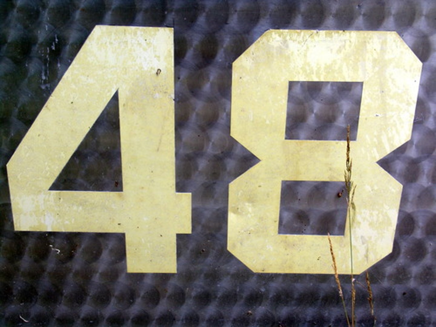<p>48</p>