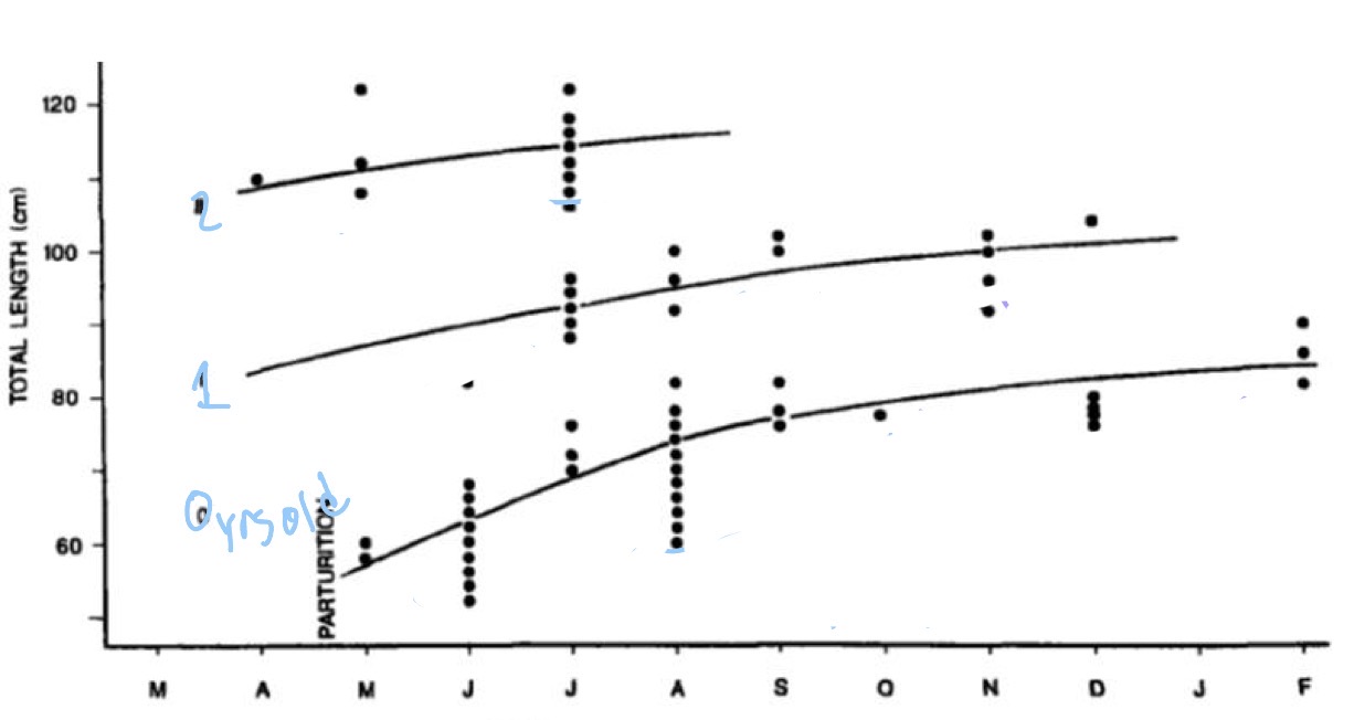 <p>Explain what’s going on in this figure- what size frequencies analysis are they doing?</p>