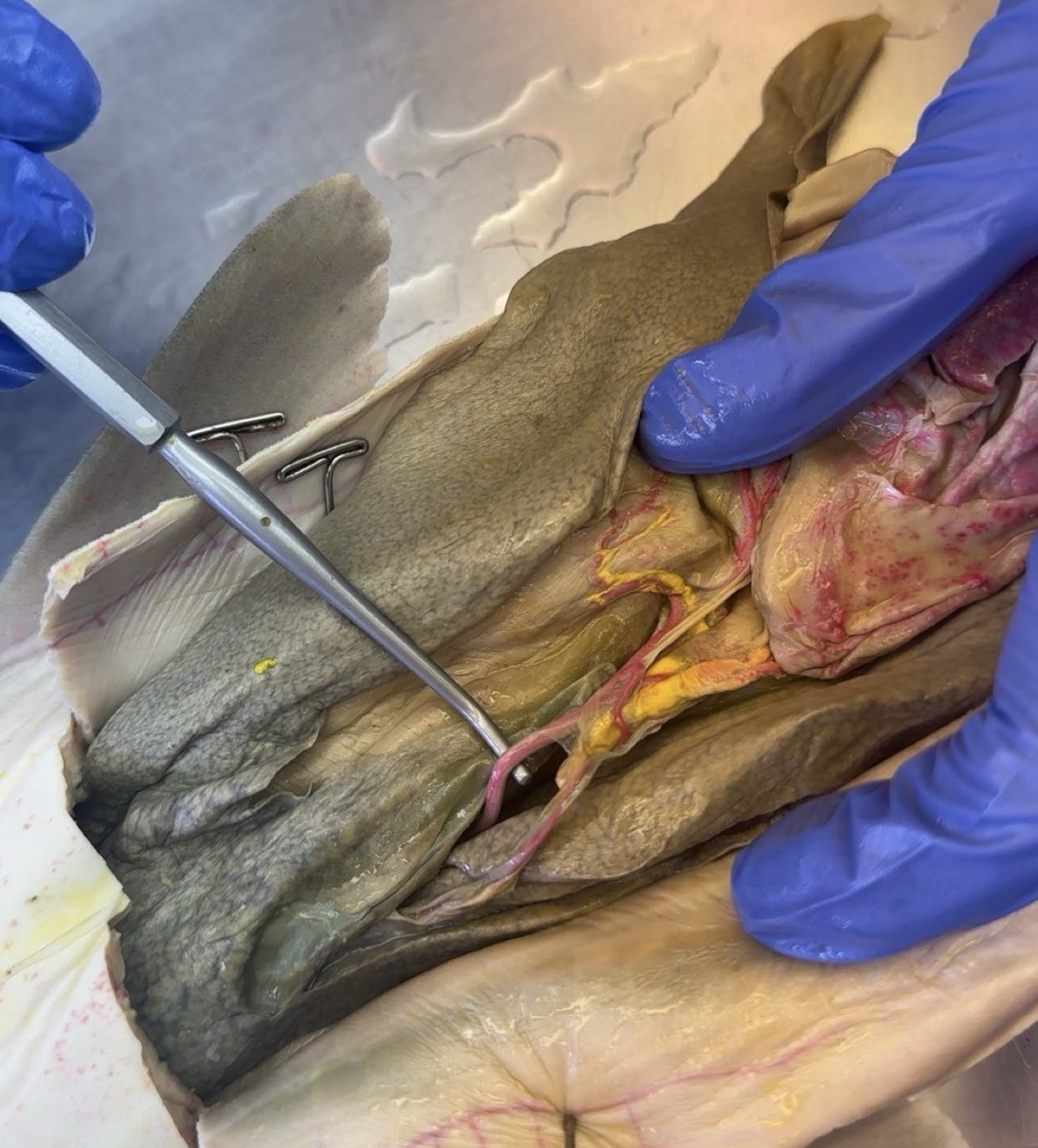 <p>what is this?</p>