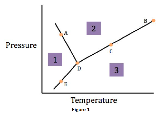 <p><span>The labeled point in Figure 1 at which sublimation can occur is</span></p>