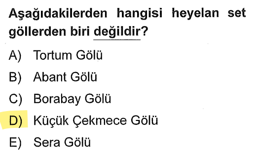 <p>Tortum, Abant, Borabay ve Sera gölleri heyelan sonucu oluşmuştur. Küçükçekmece ise bir <strong>Kıyı Set (Limanlı)</strong> gölüdür.</p>