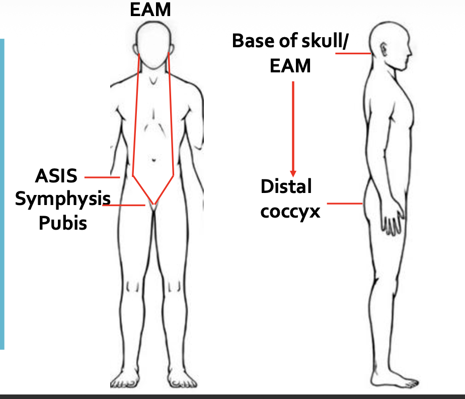 <p><strong>EAM </strong><span>External Auditory Meatus</span></p>