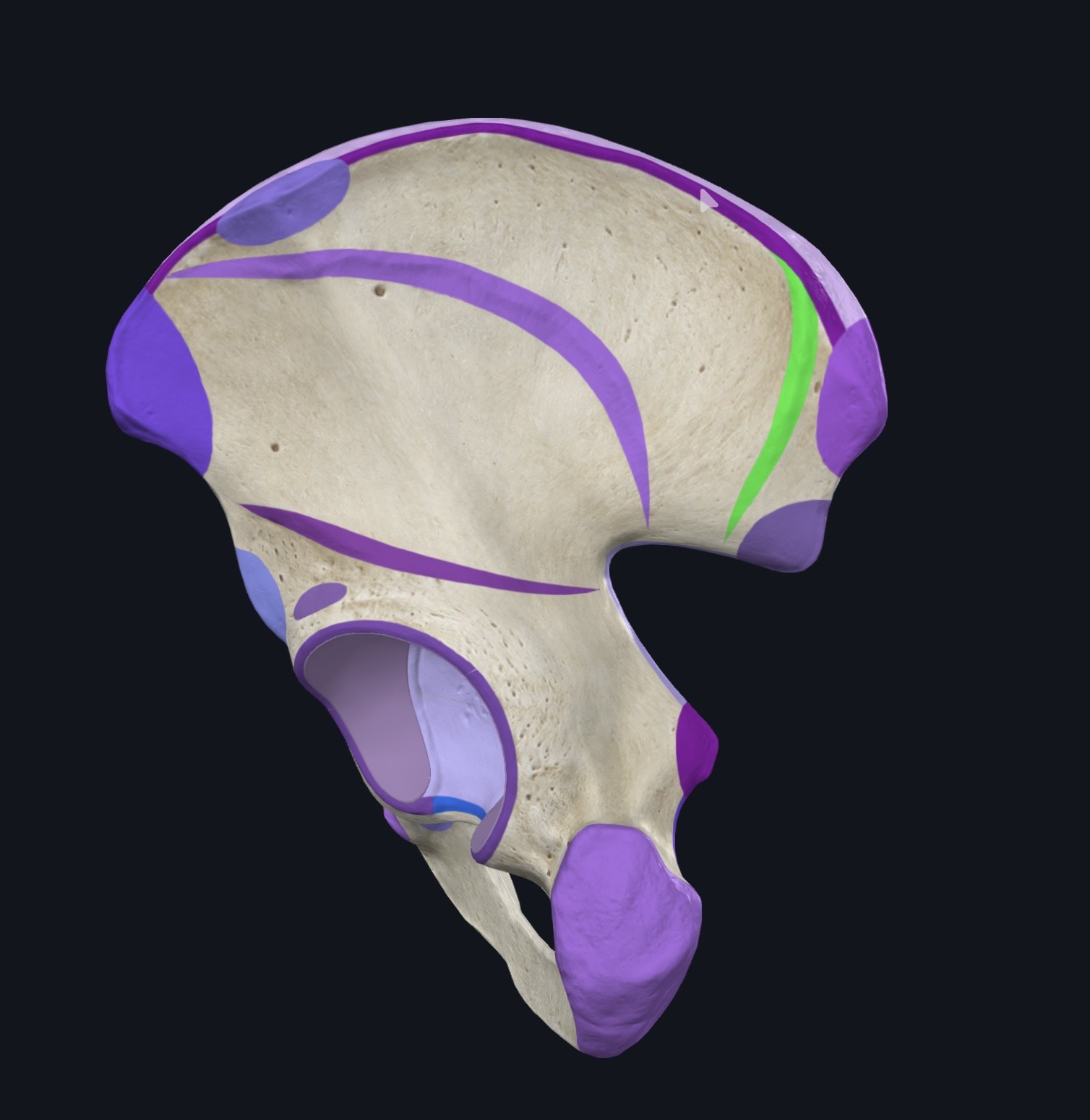 <p>¿Qué es esto?</p>