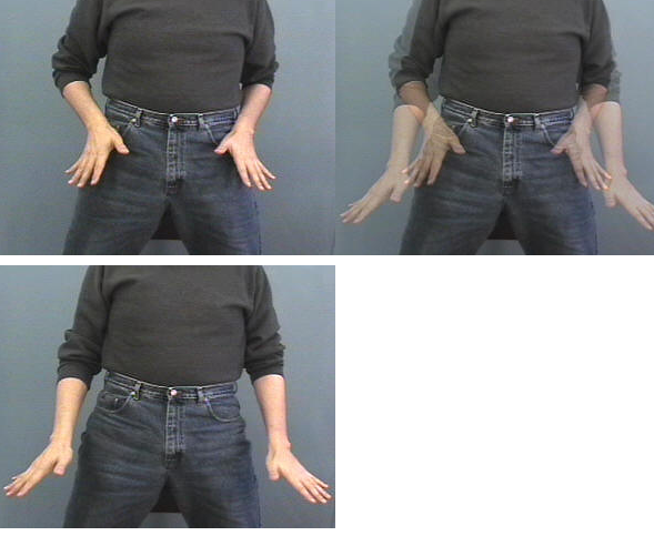 <p>make five hands and move hands downward with thumbs to chest and then hands flow out (but on waist)</p>