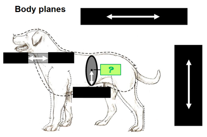 <p>Which direction is this? </p>
