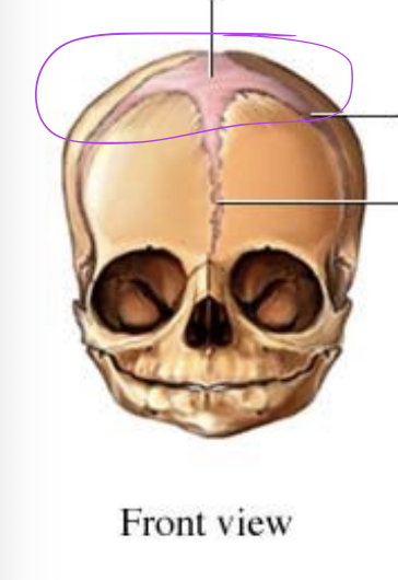<p>what is this?</p>