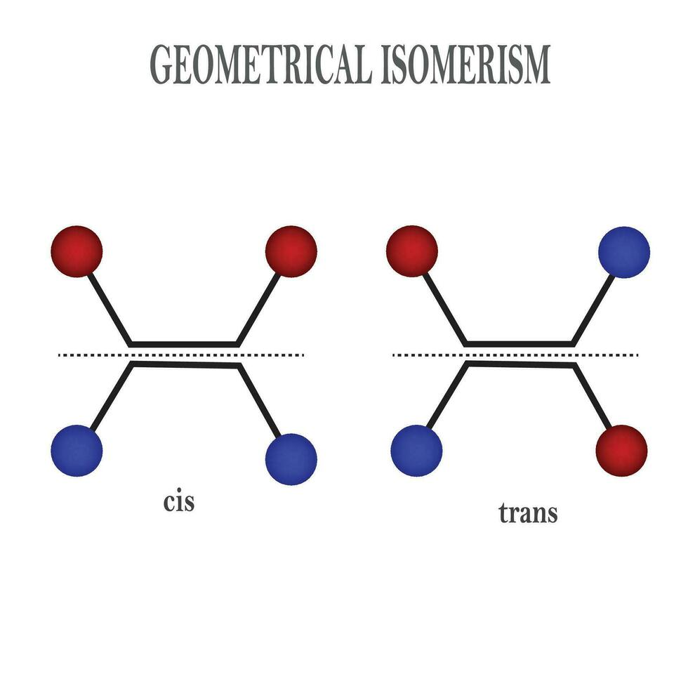 <ul><li><p>the longest alkyl groups attached to the double-bonded carbon atoms are located on opposite sides of the double bond</p></li></ul><p></p>