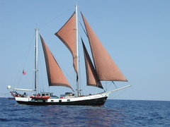<p>(n) They were a trading people of seafarers. </p><p>người đi biển</p>
