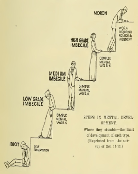 <p>Formulated a hierarchy of mental development from “idiot“ to “moron“ that determined which immigrants could hold which jobs </p>