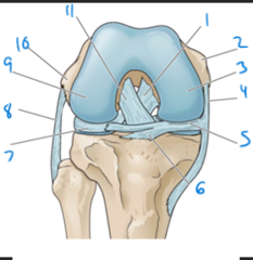 <p>11</p>