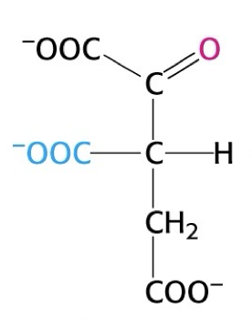 <p>what structure is this?</p>