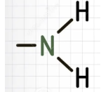 <p><span style="background-color: inherit; line-height: 20.7px; color: windowtext;"><strong>Amine </strong>organic compound with an amino functional group (−NH2) in replace of a hydrogen&nbsp;</span><span style="line-height: 20.7px; color: windowtext;">&nbsp;</span></p><ul><li><p class="Paragraph SCXO161345964 BCX0" style="text-align: left;"><span style="background-color: inherit; line-height: 20.7px; color: windowtext;">It has the suffix '-amine'</span><span style="line-height: 20.7px; color: windowtext;">&nbsp;</span></p></li></ul><ul><li><p class="Paragraph SCXO161345964 BCX0" style="text-align: left;"><span style="background-color: inherit; line-height: 20.7px; color: windowtext;">True. They are generally derived from ammonia -->&nbsp; a hydrogen atom may be removed from ammonia (NH3) to form an amino (or amine) functional group (−NH2)</span></p></li></ul><p></p>