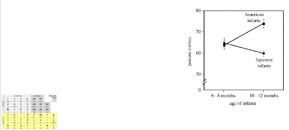<p><span> Selectively attending to speech<br> Extracting specific elements from speech<br> Categorical perception of phonemes<br> /r/ vs. /l/ in American and Japanese infants<br> The ability to recognize (and produce) phonemes is skewed to the language(s) that you are exposed to in infancy</span></p>